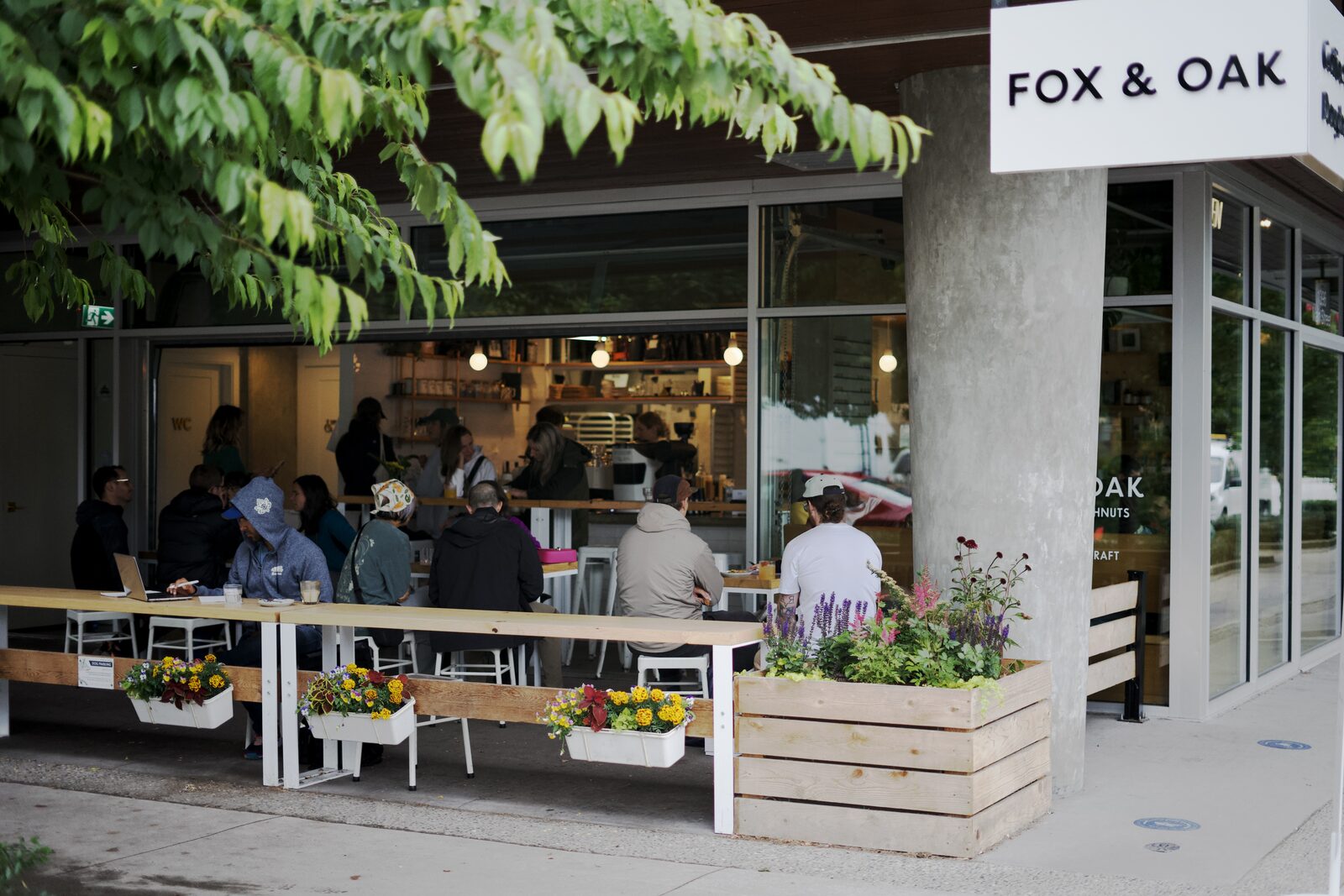 Fox & Oak photo 1