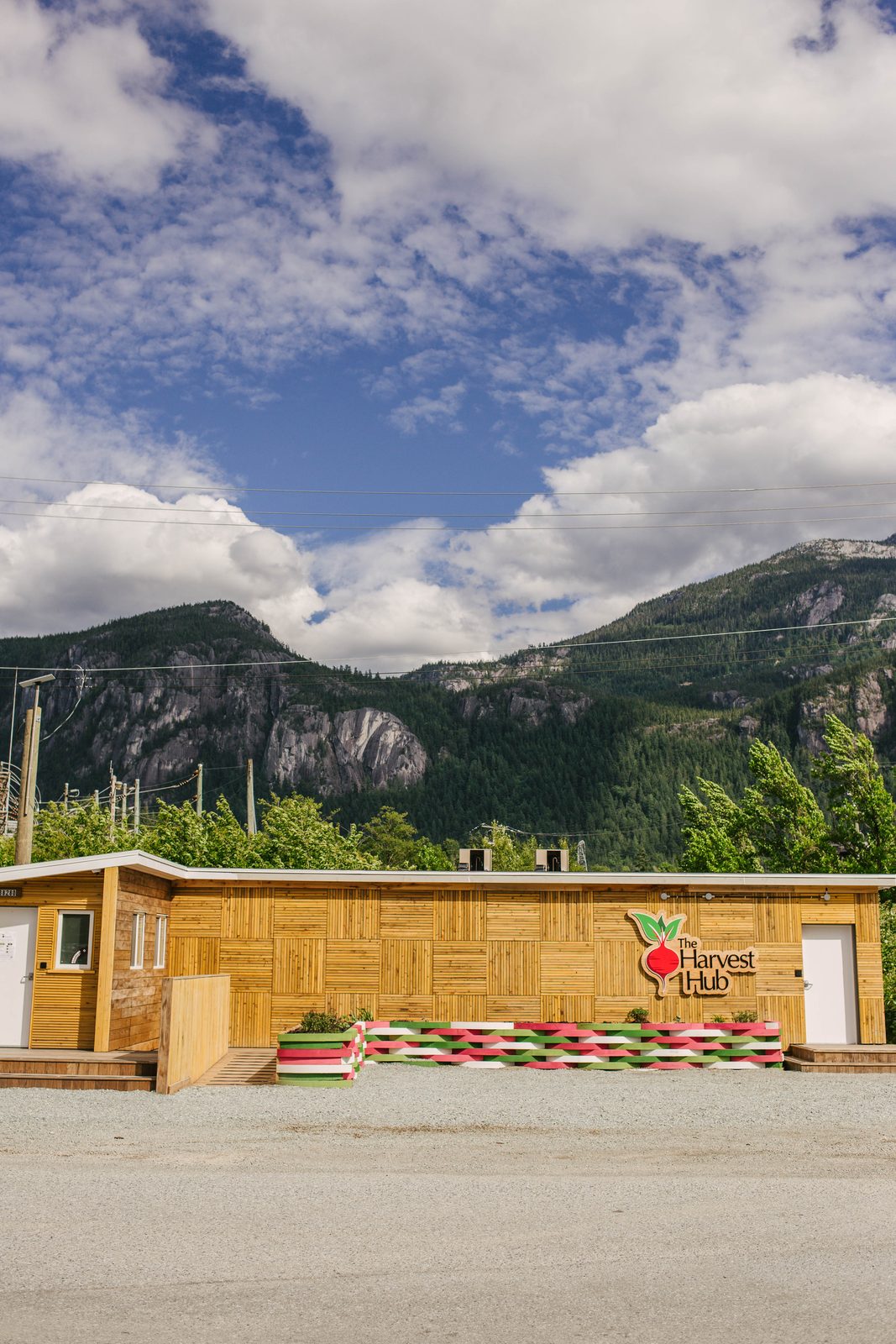 Harvest Hub photo 3
